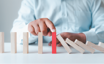  Think risks, Act wisely - Risk Management in Perspective [Asynchronous eLearning]